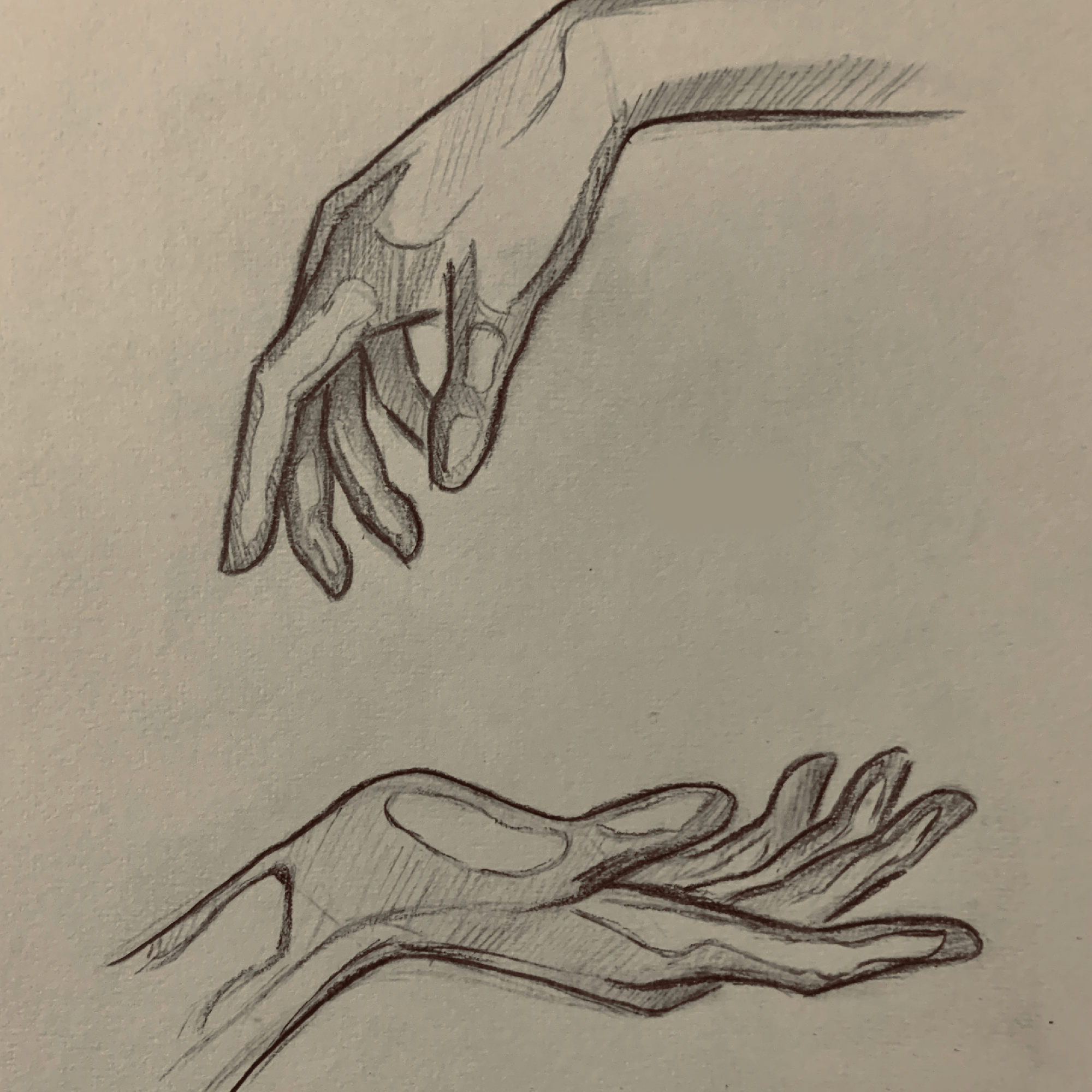 Hands