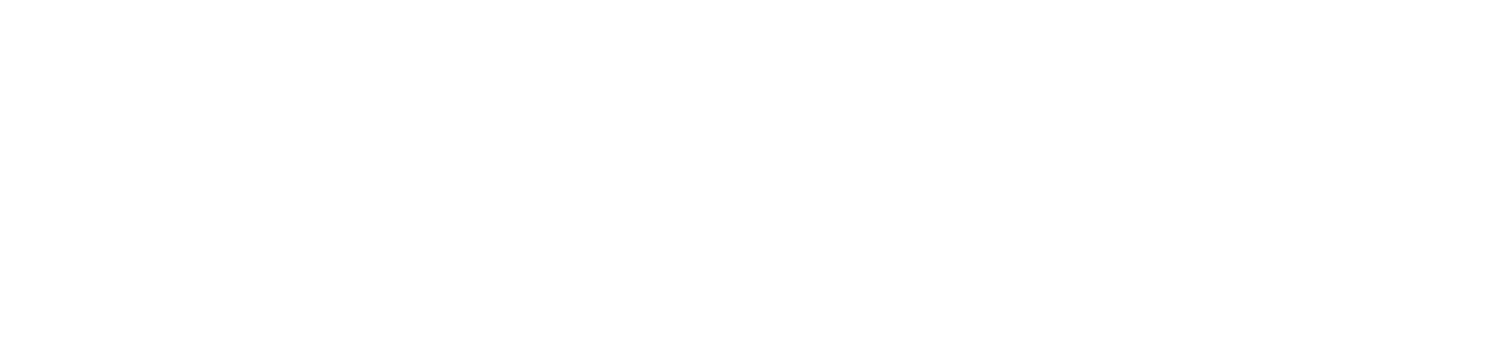 Shin Arts Logo